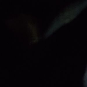 Meet your Posher, Ken